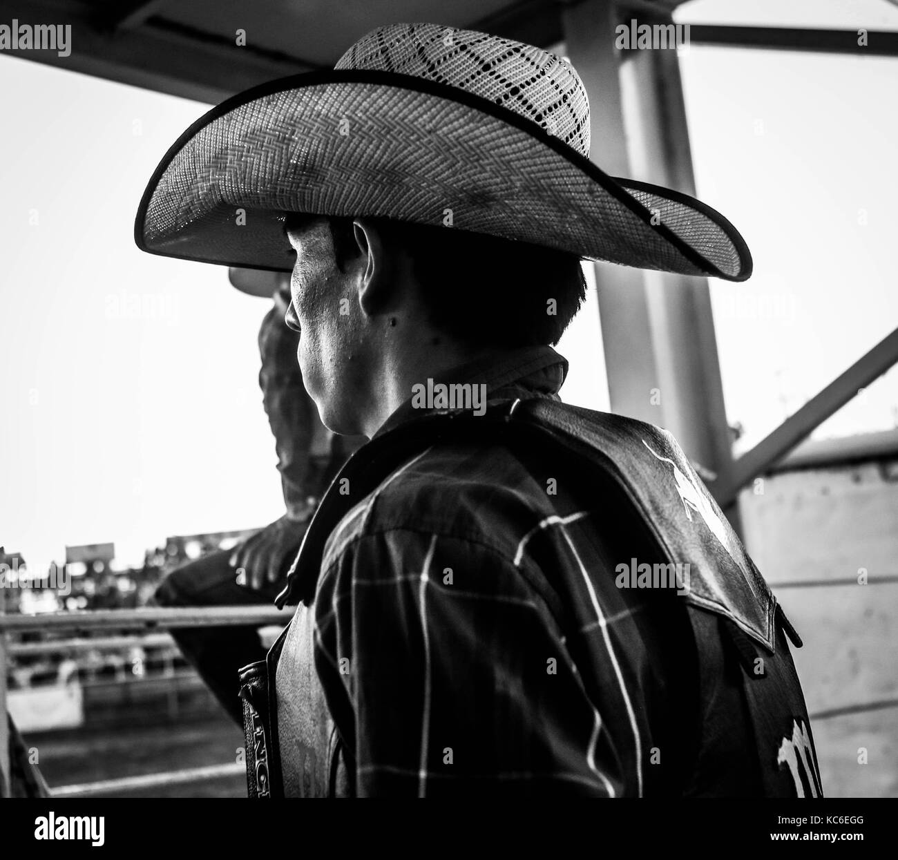 Behind the scene of the sport of Vaqueros, horse riders and Jineteo de ...