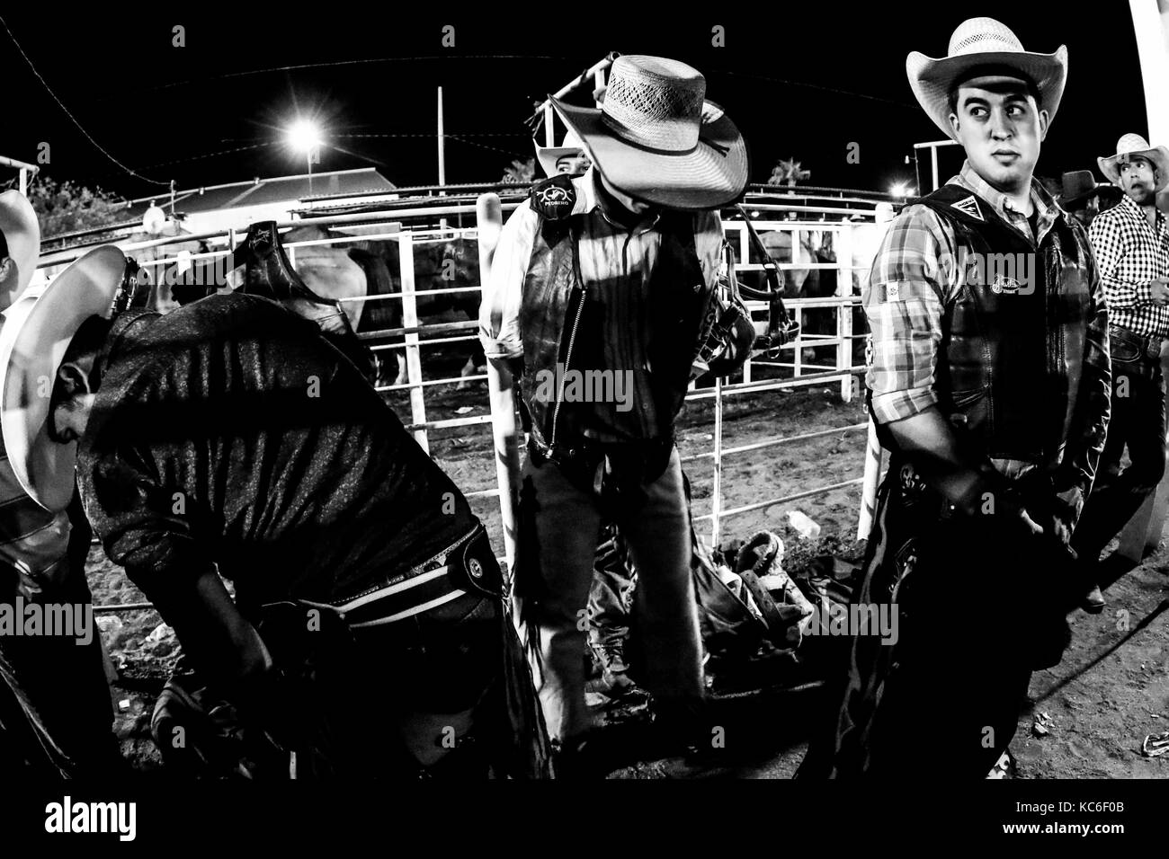 Behind the scene of the sport of Vaqueros, horse riders and Jineteo de ...