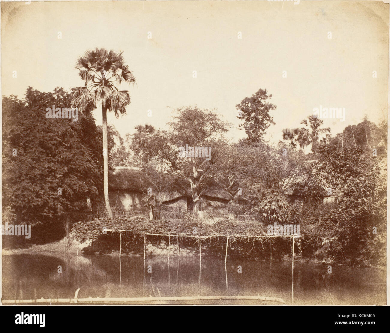 View in the Jungle, Bengal, Captain R. B. Hill, 1850s Stock Photo