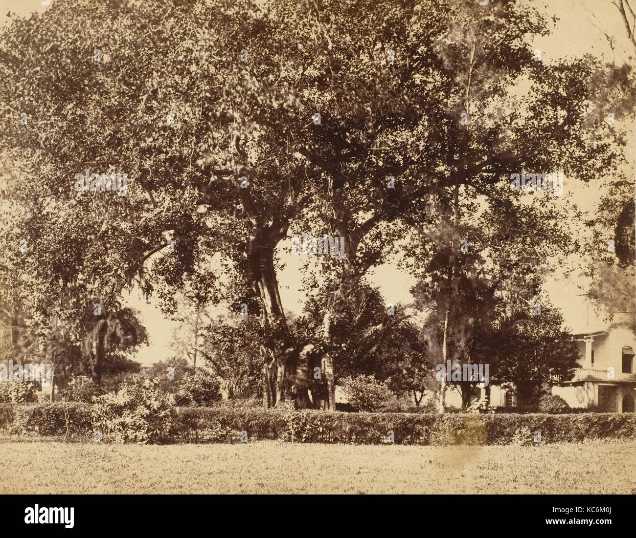 View From Our Garden, Dum Dum, Captain R. B. Hill, 1850s Stock Photo
