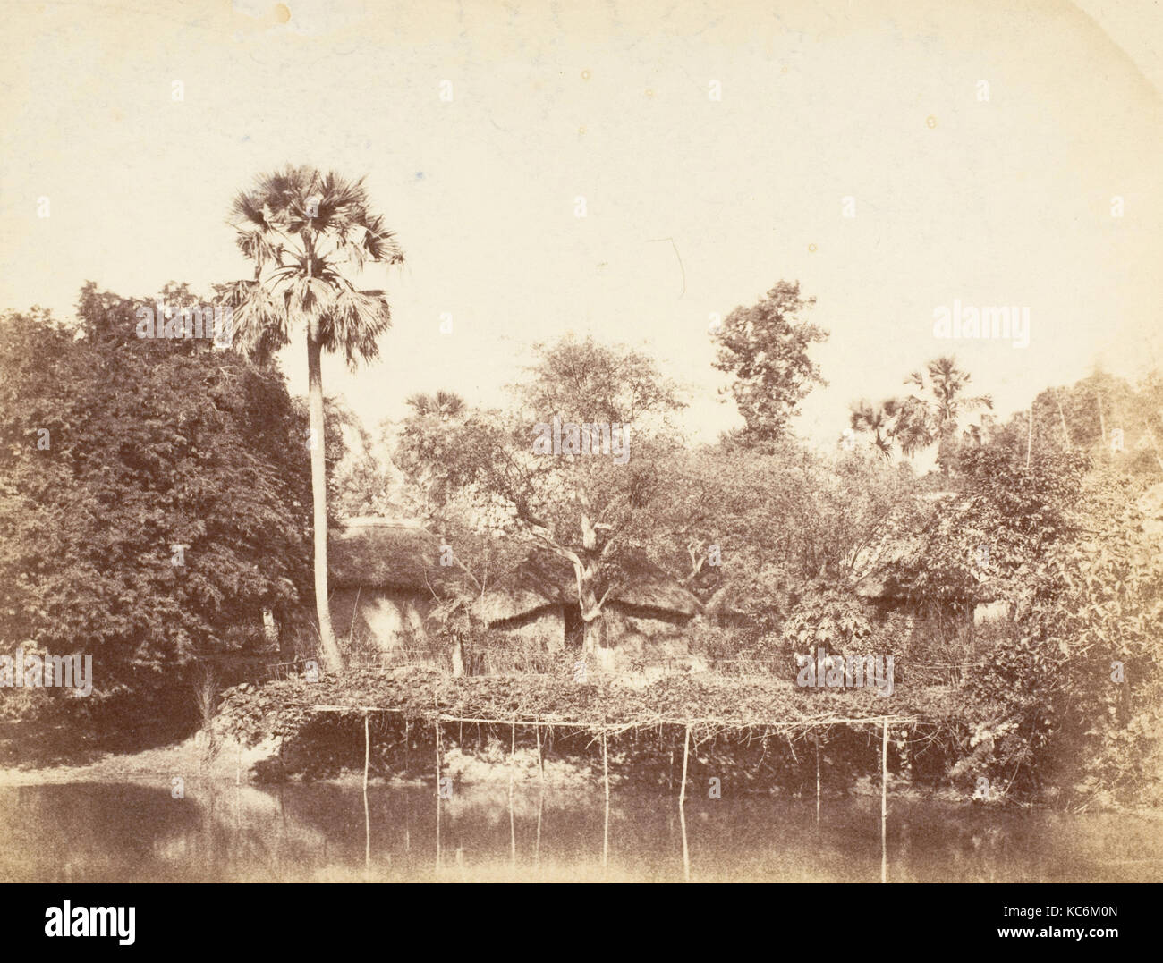 View of the Jungle, Bengal, Captain R. B. Hill, 1850s Stock Photo