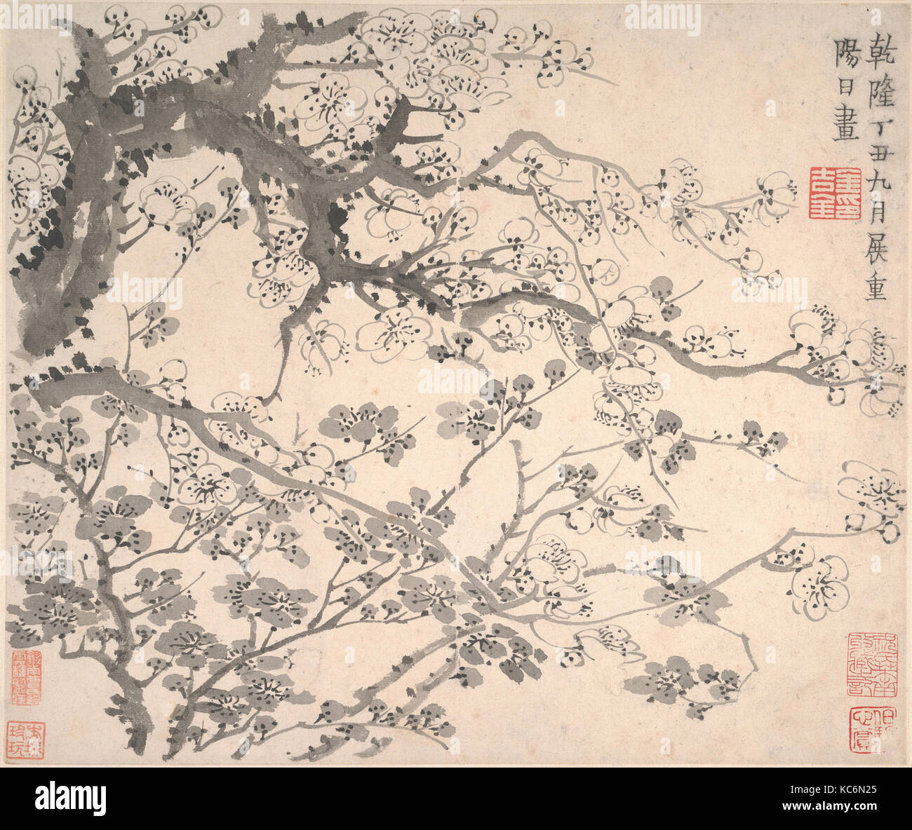 清   金農   梅花圖   冊, Plum Blossoms, Jin Nong, dated 1757 Stock Photo