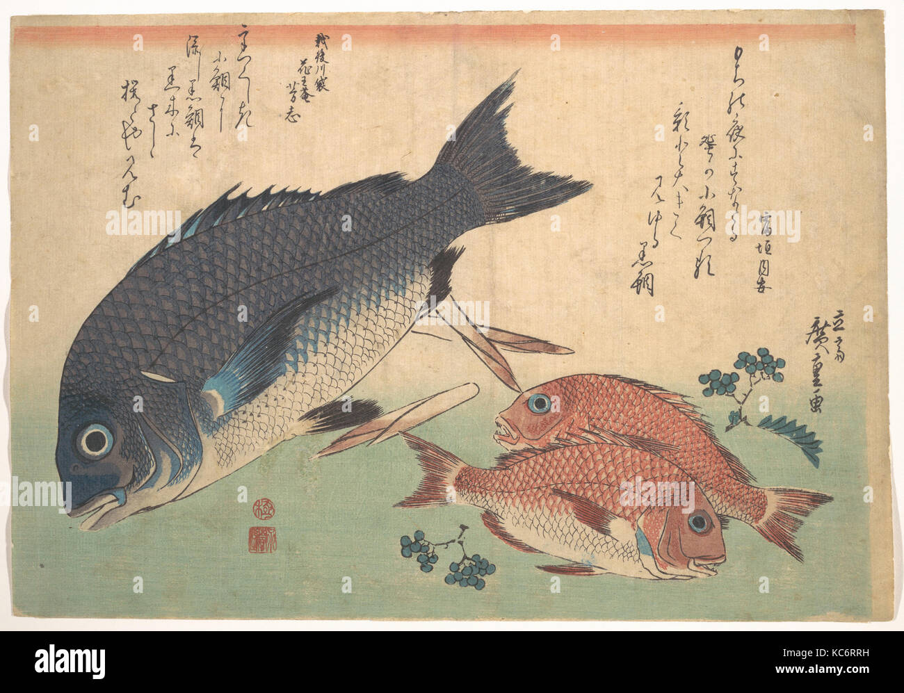 魚づくし 黒鯛 小鯛に山椒 Kurodai And Kodai Fish With Bamboo Shoots And Berries From The Series Uozukushi Every Variety Of Fish Utagawa Stock Photo Alamy 魚づくし 黒鯛 小鯛に山椒 Kurodai And Kodai Fish With Bamboo Shoots And Berries From The Series Uozukushi Every Variety Of Fish Utagawa Stock Photo Alamy