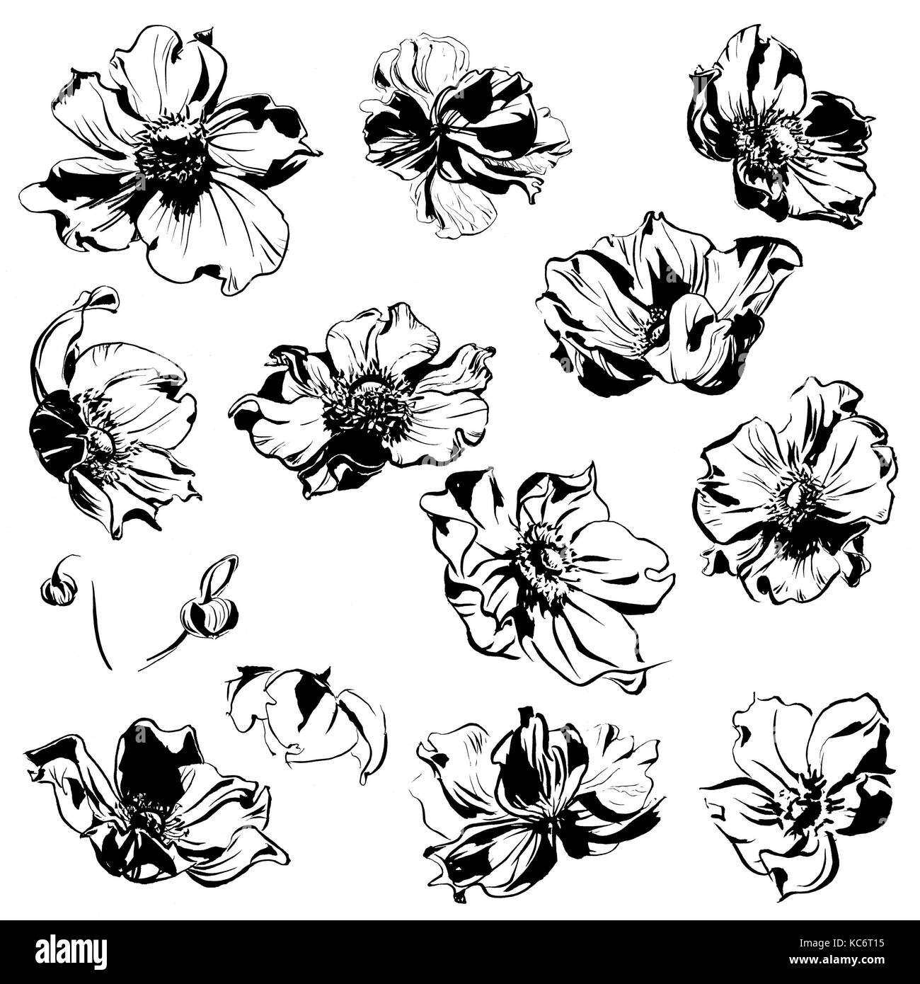 Turquoise flowers background Black and White Stock Photos & Images - Alamy