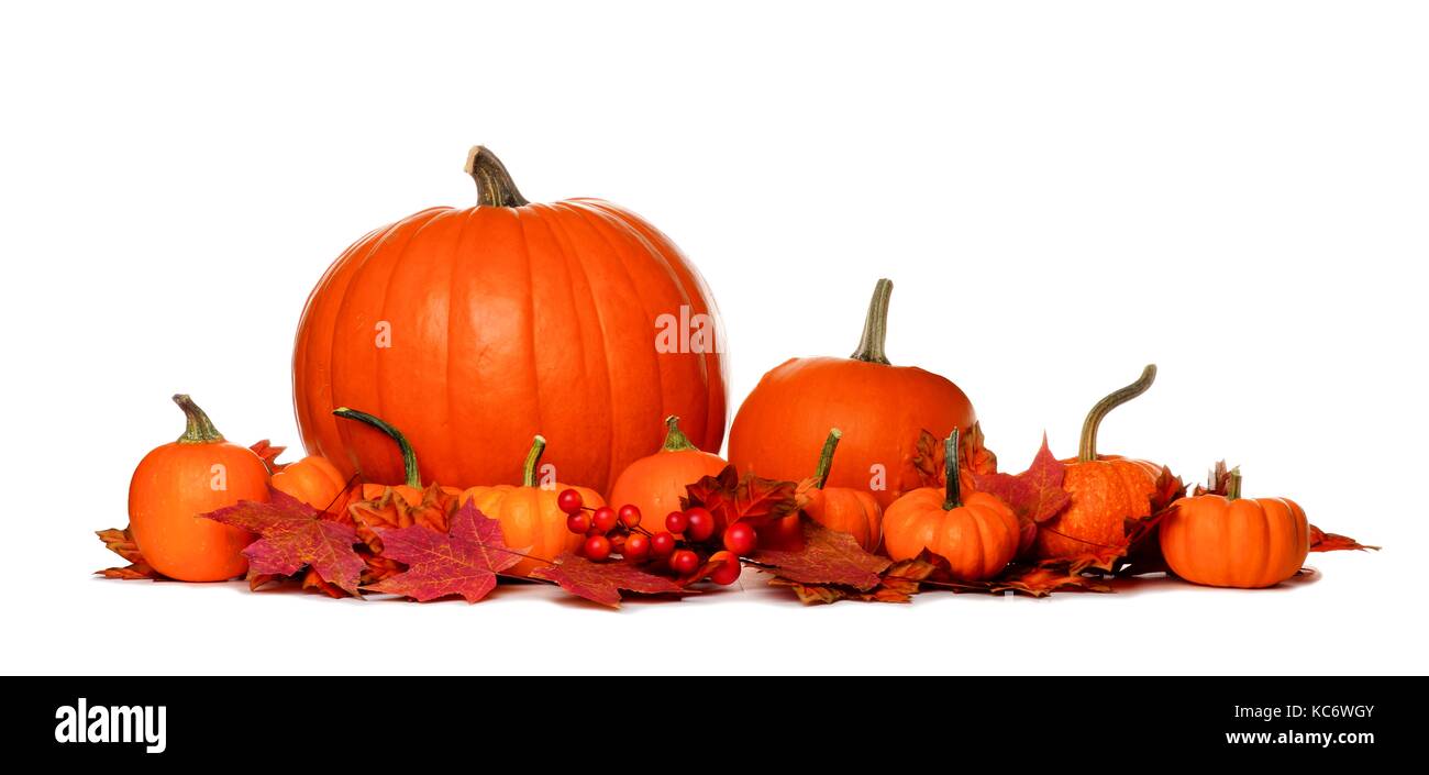Autumn pumpkins and red fall leaves border isolated on a white ...