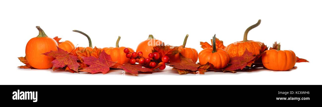 Long border of mini pumpkins and red fall leaves isolated on a white background Stock Photo