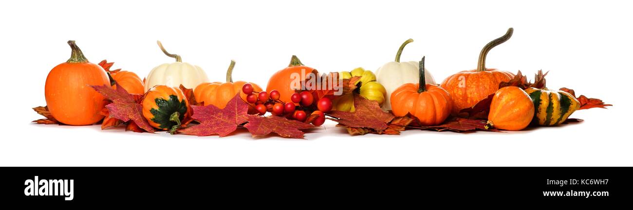 Long border of pumpkins, gourds and red fall leaves isolated on a white background Stock Photo