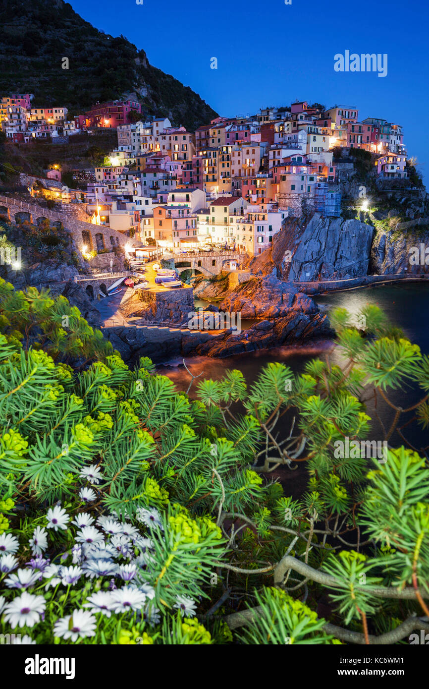 Italy, Liguria, Manarola at dusk with tree branch in foreground Stock Photo