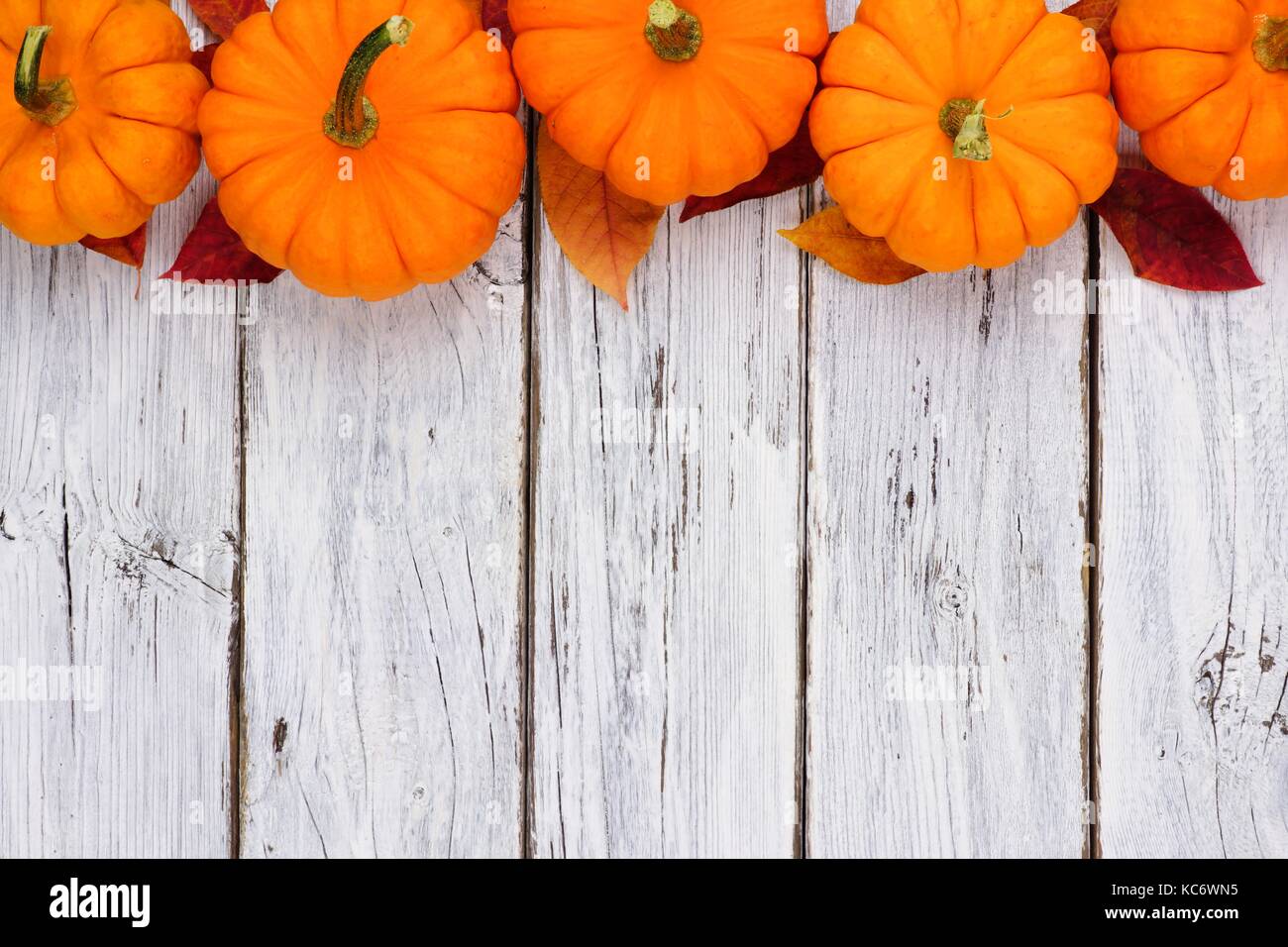 Autumn leaves and pumpkin top border over a rustic white wood background Stock Photo