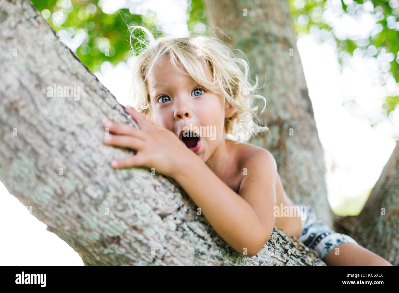 Boy sitting on tree Stock Photo