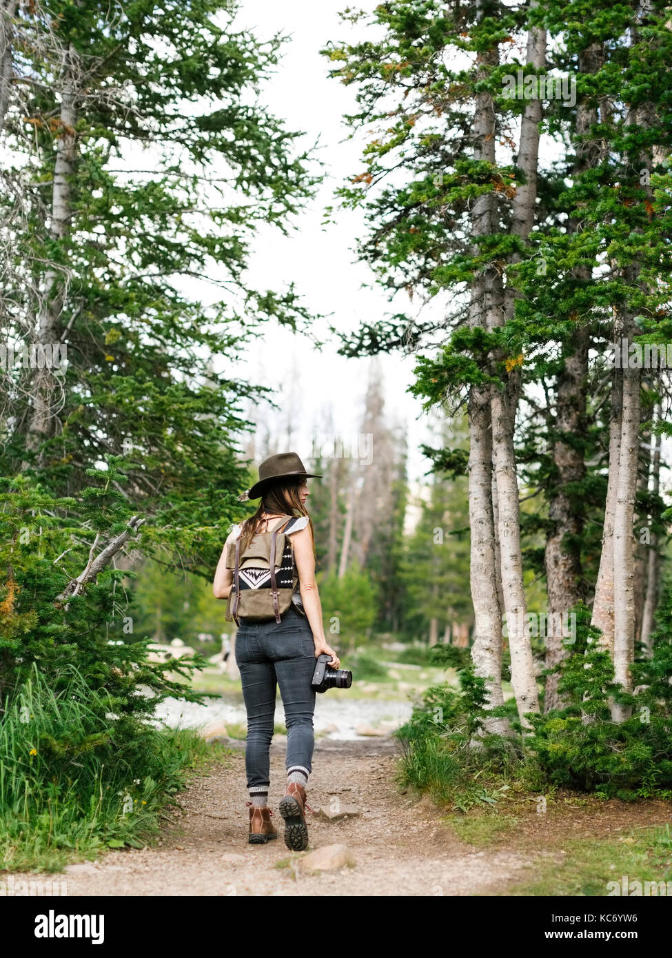 Woman hiking in forest Stock Photo - Alamy