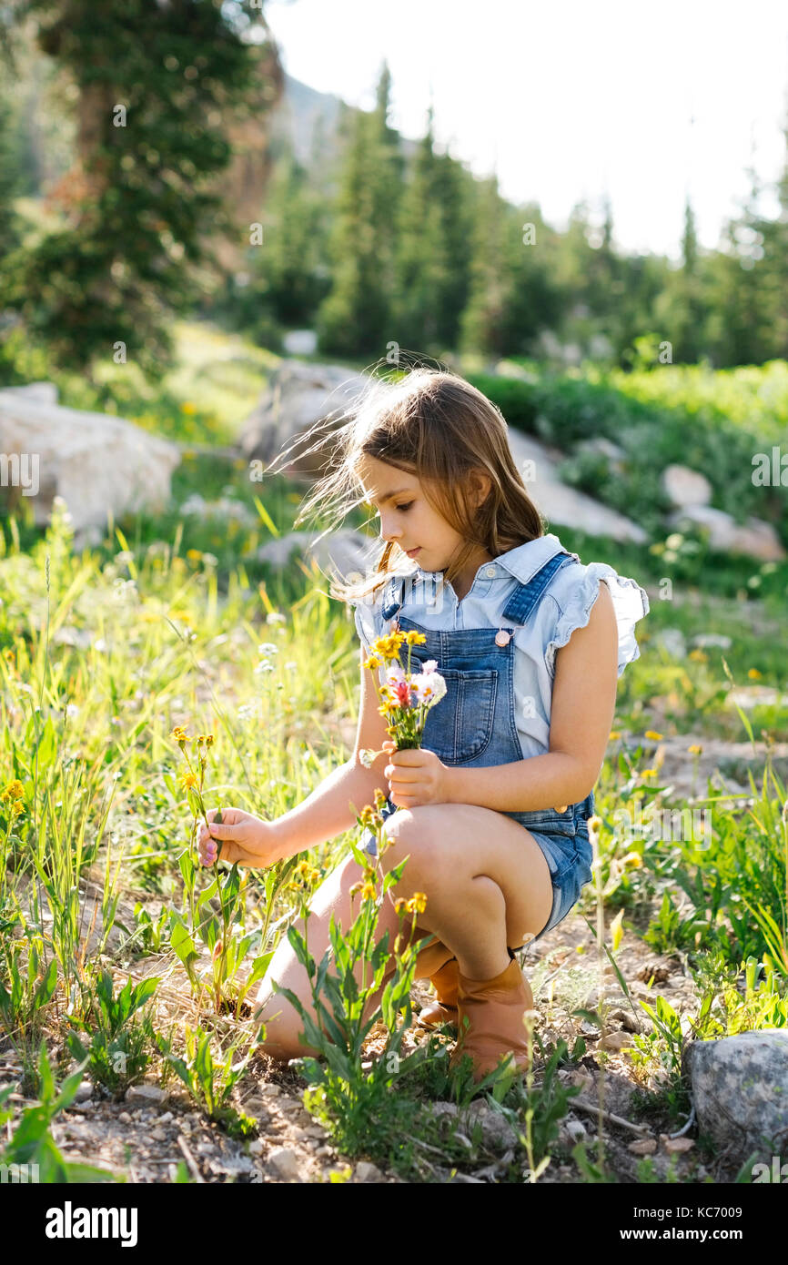 Girl (8-9) picking wildflowers in meadow Stock Photo