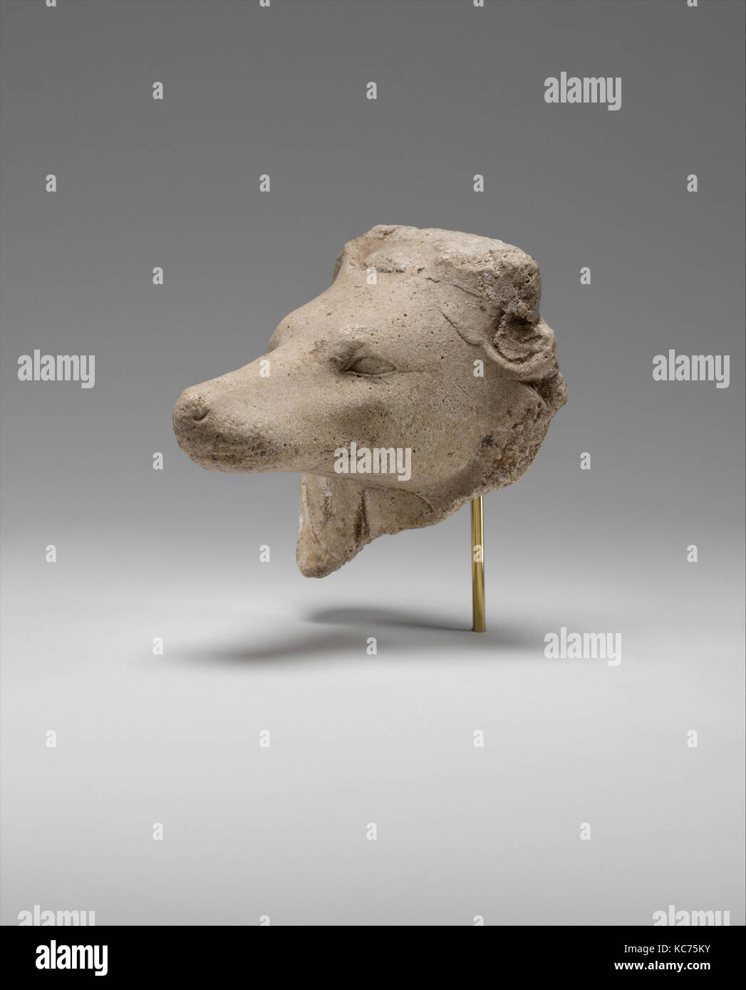 Head of a Canid, possibly a Jackal, Late Period, Dynasty 26–30, 664–332 B.C., From Egypt, Gypsum plaster, 6.7 x 6.4 cm (2 5/8 x Stock Photo