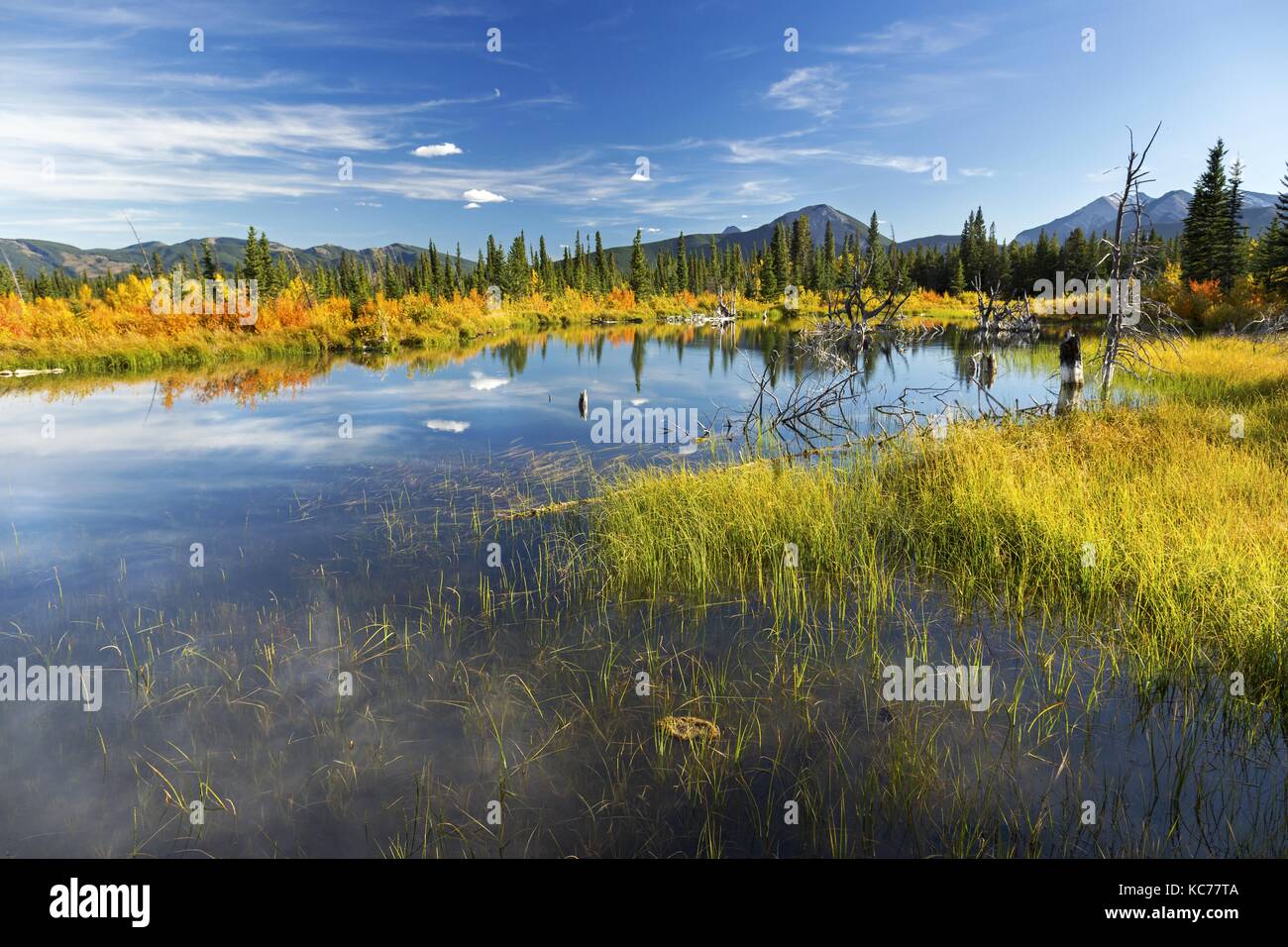 Autumn Landscape in Bow Valley Provincial Park as Colors are changing