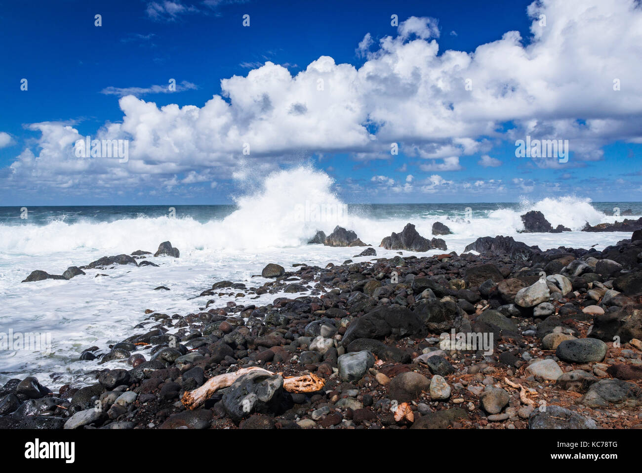 Rocky shoreline and powerful surf at Laupahoehoe Point Park, Laupahoehoe, The Big Island, Hawaii