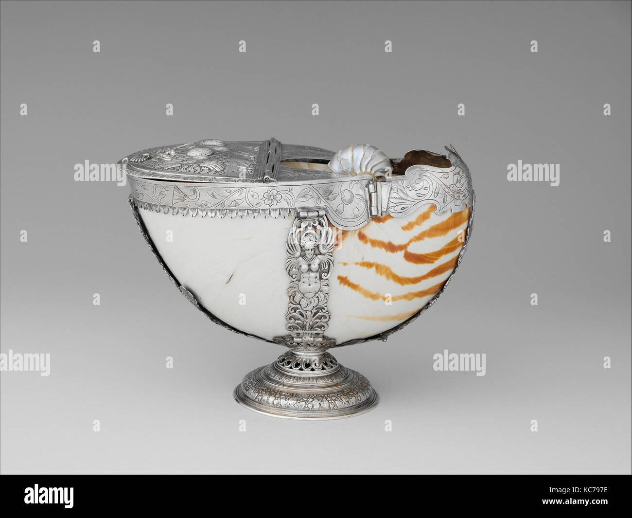 Nautilus shell box, 1619/1620, with later restorations Stock Photo - Alamy