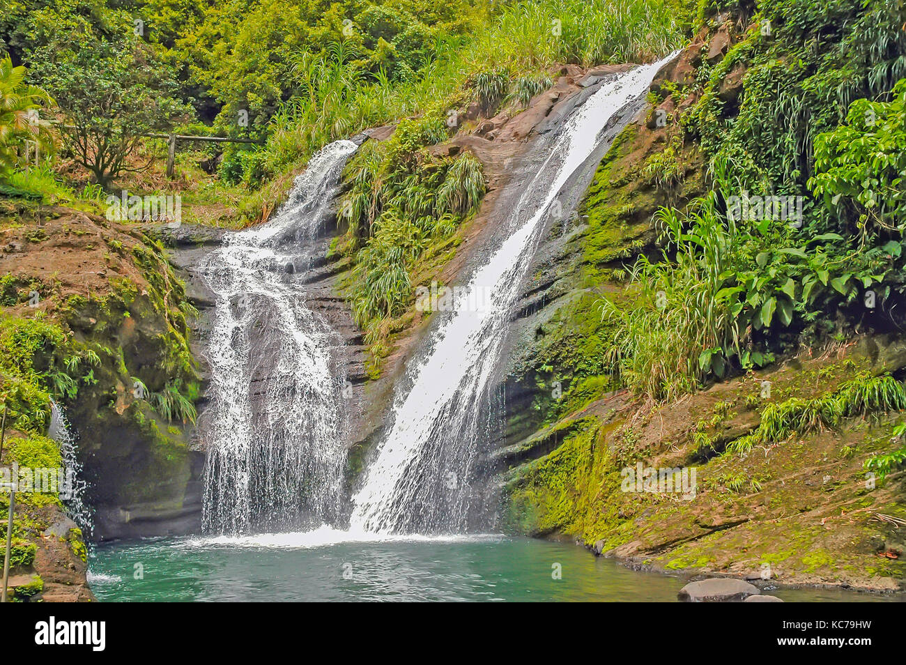 First waterfall cascades for 35 feet at Concord Falls, Gouyave, Grenada. Stock Photo