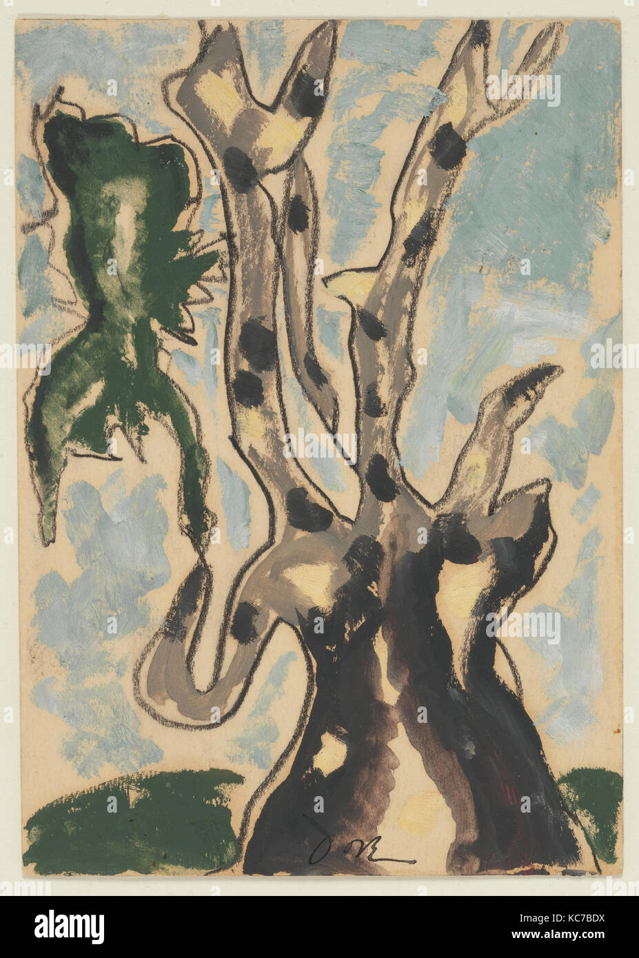 Sycamore, 1935, Wax emulsion, watercolor, and crayon on paper, 6 7/8 x 4 7/8 in. (17.5 x 12.4 cm), Drawings, Arthur Dove Stock Photo