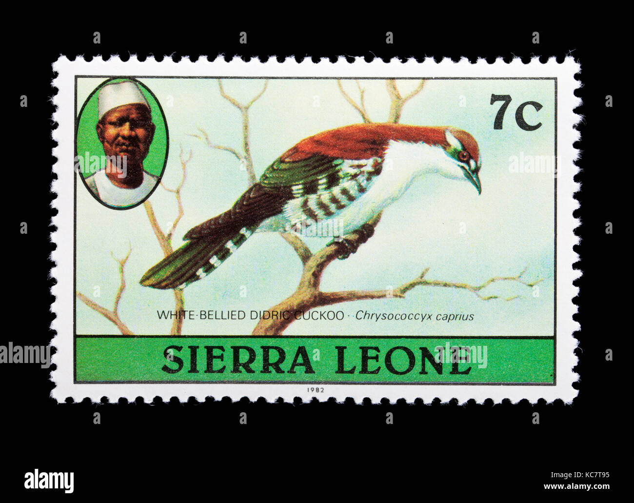 Postage stamp from Sierra Leone depicting a white-bellied didric cuckoo (Chrysococcyx caprius) Stock Photo