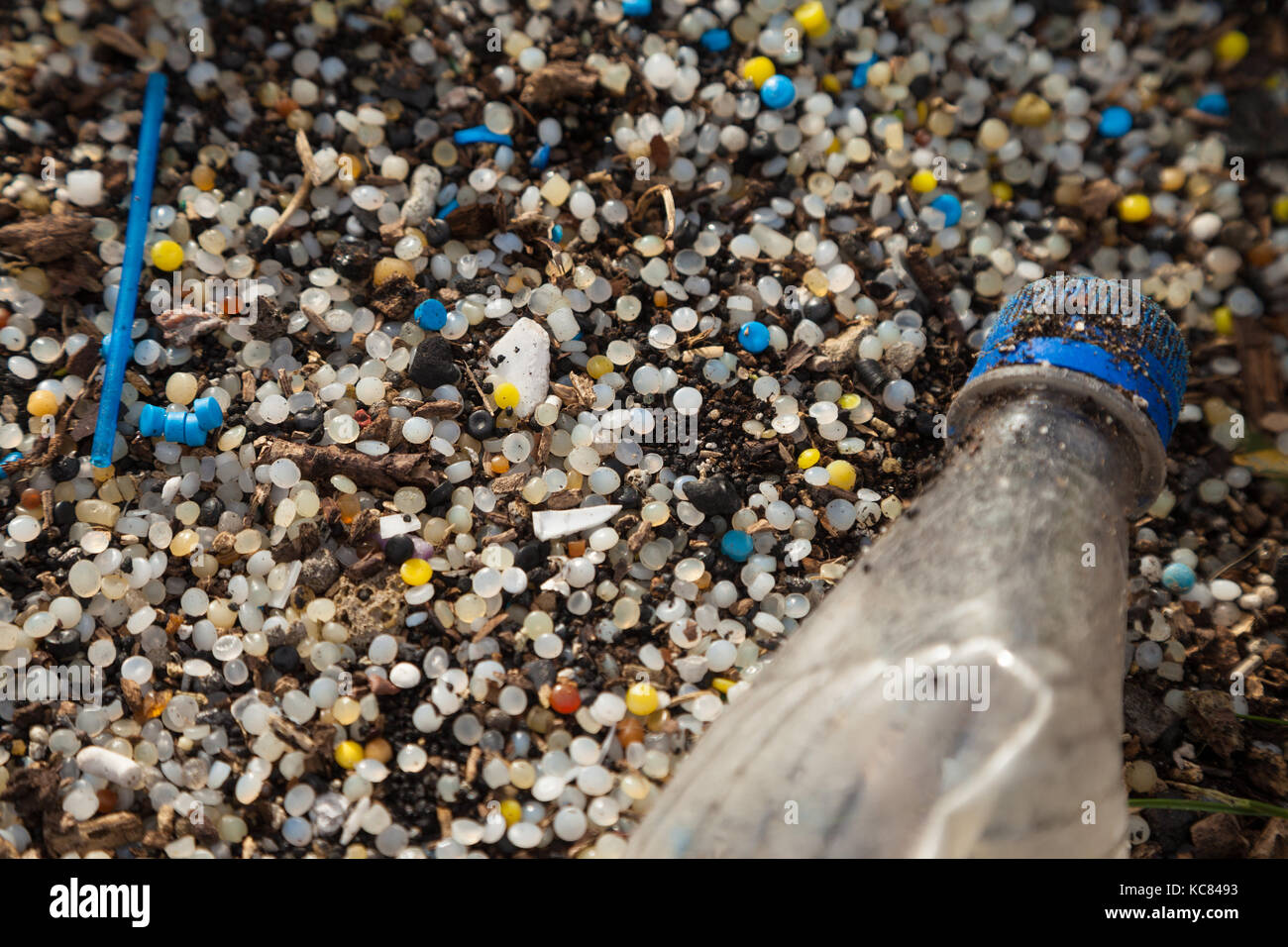 Close up of plastic Nurdles on a beach in Fife, Scotland. Stock Photo