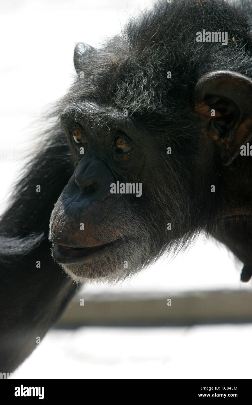 40th birthday party hires stock photography and images Alamy