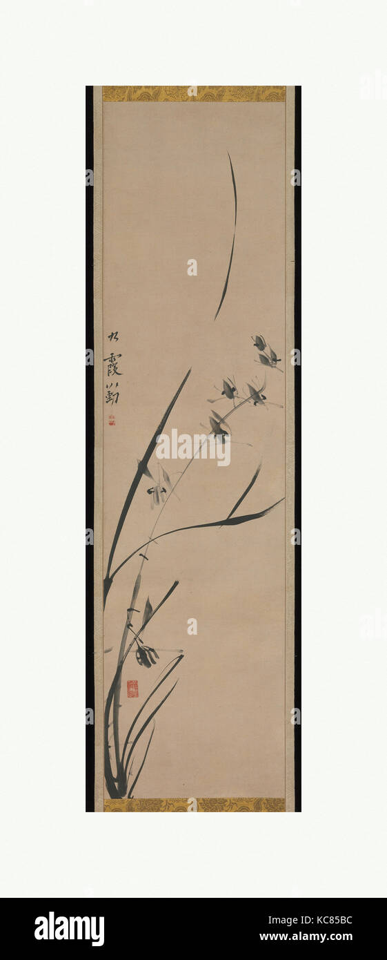 Orchids, Edo period (1615–1868), 18th century, Japan, Hanging scroll; ink on paper, 38 1/16 x 9 15/16 in. (96.7 x 25.2 cm Stock Photo