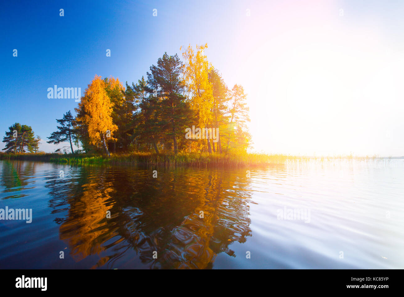 Autumnal Park. Autumn Trees and lake Stock Photo - Alamy