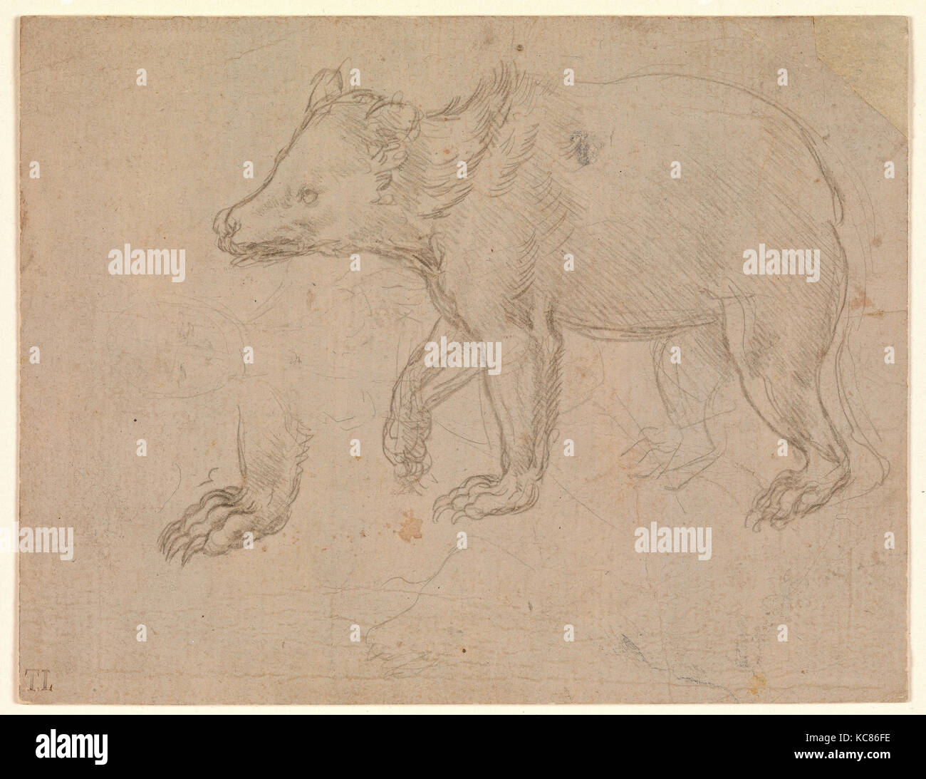 Anatomical leonardo da vinci hires stock photography and images Alamy