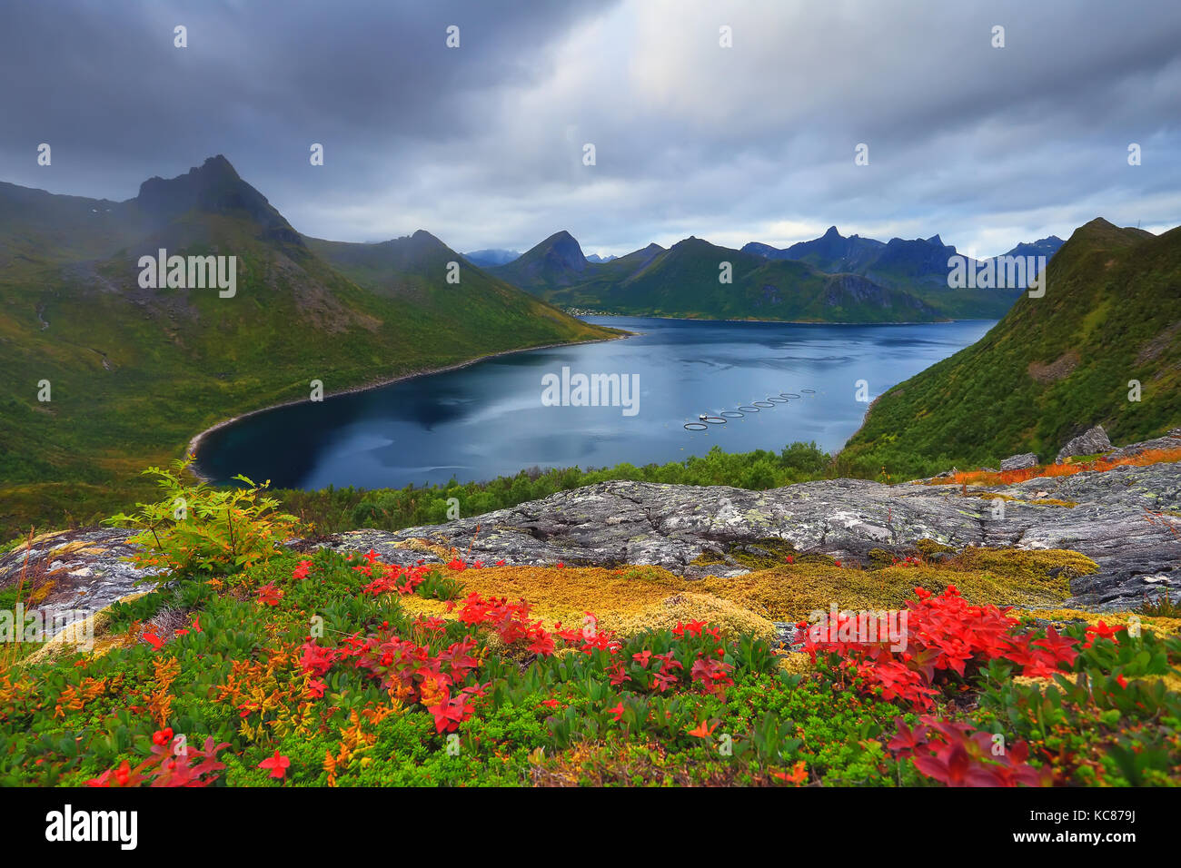 Autumn norway nature. Landscape of norwegian fjord on autumn day. Colorful foliage on hills to blue fjord. Stock Photo