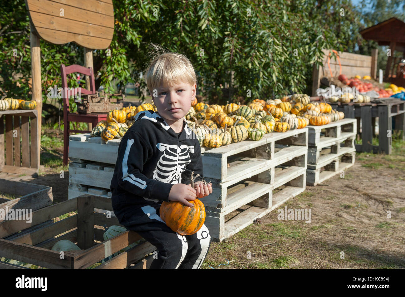 Boy wearing skeleton costume Stock Photo