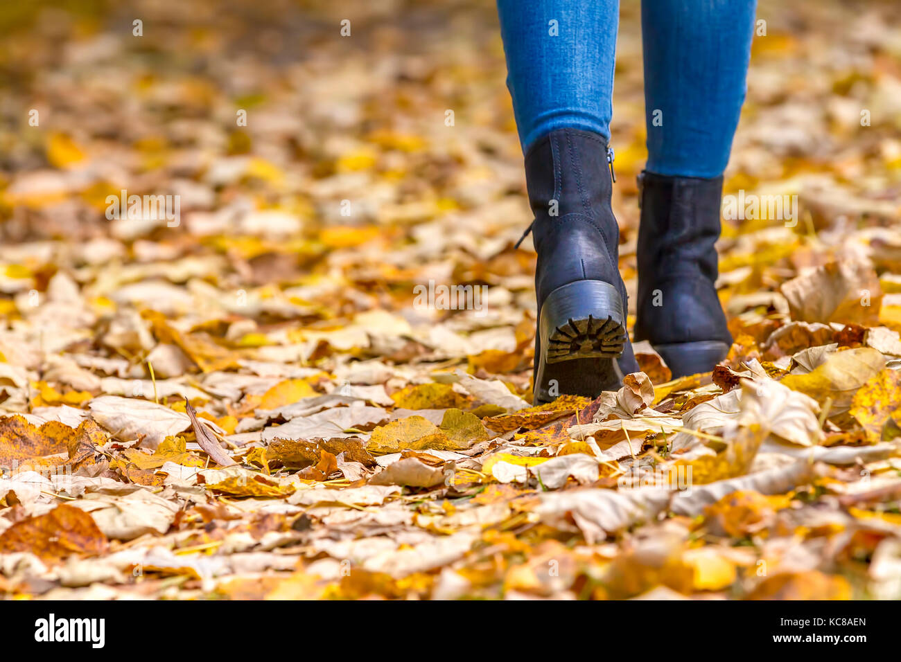Woman feet wearing boots walking on fall leaves outdoor with autumn season. Stock Photo