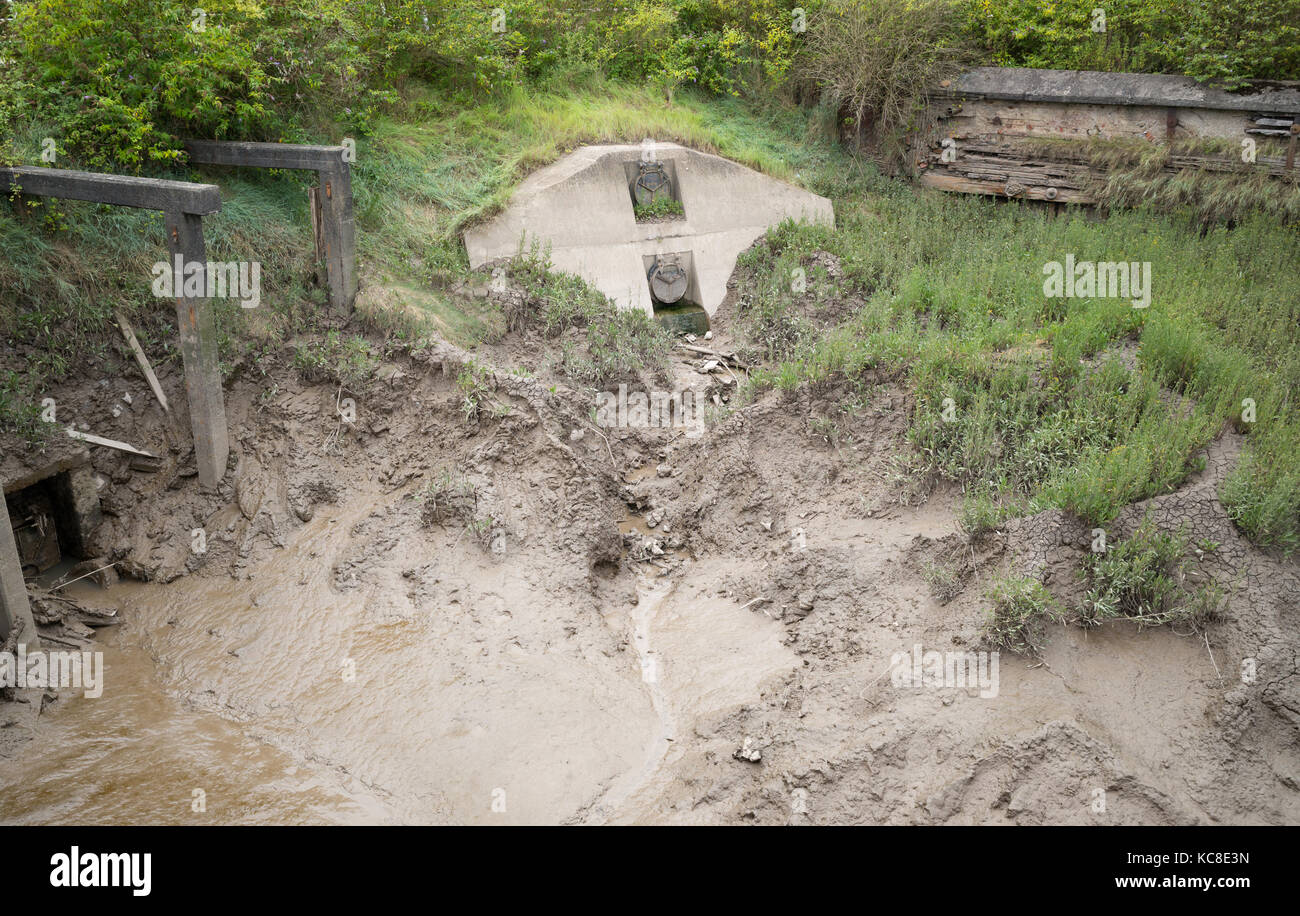 Drain outflow with double steel gate valves set into concrete. Water