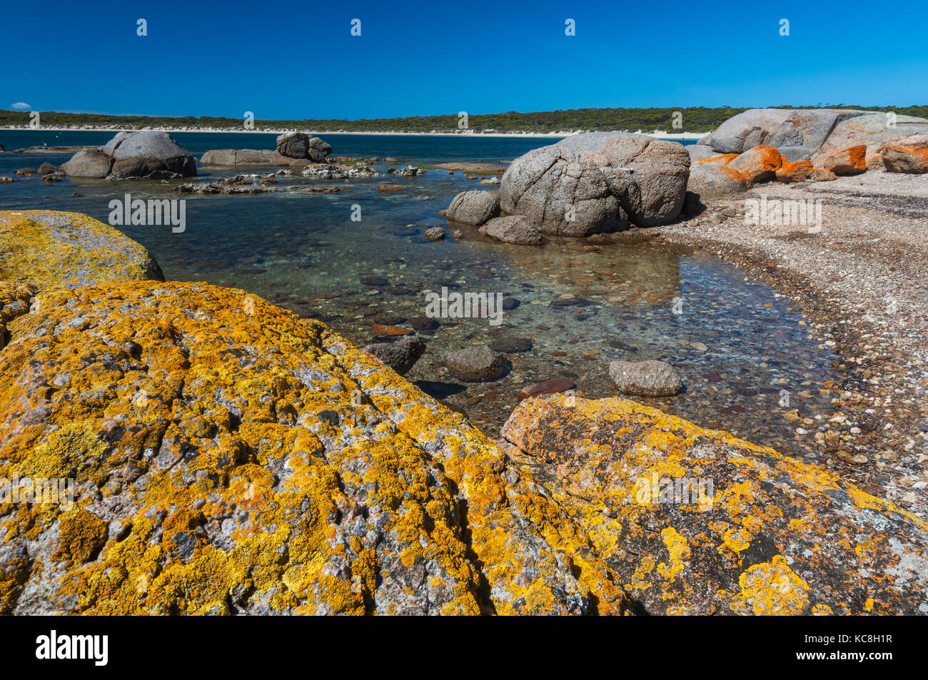 Colourful lichen on the rocks at Fishermans Point in Lincoln National Park. Stock Photo