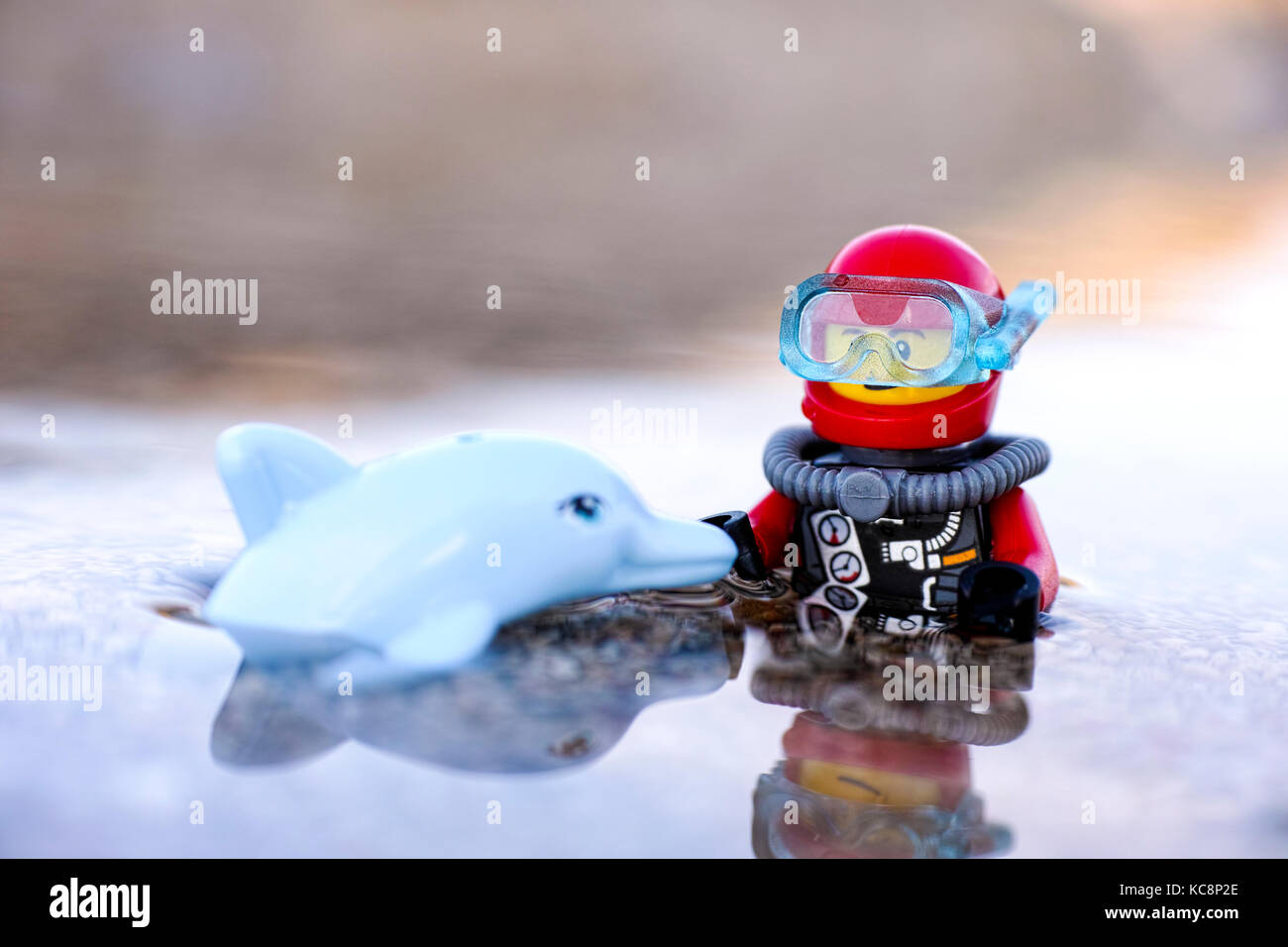 Paphos, Cyprus - October 09, 2016 Lego scuba diver and dolphin minifigures in the sea. Shallow depth of field. Stock Photo