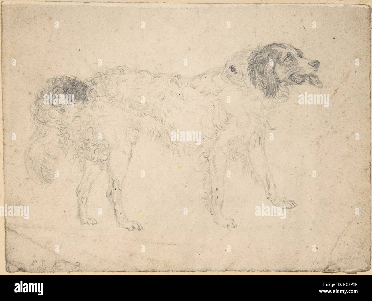 Study of a Dog Facing Right, Sir Edwin Henry Landseer, 1820–73 Stock Photo