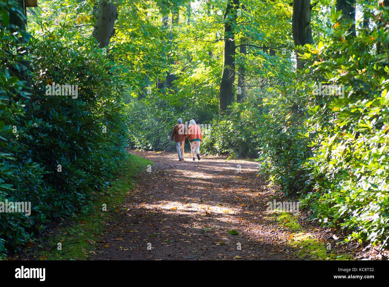 elderly couple enjoying their walk in a forest Stock Photo - Alamy