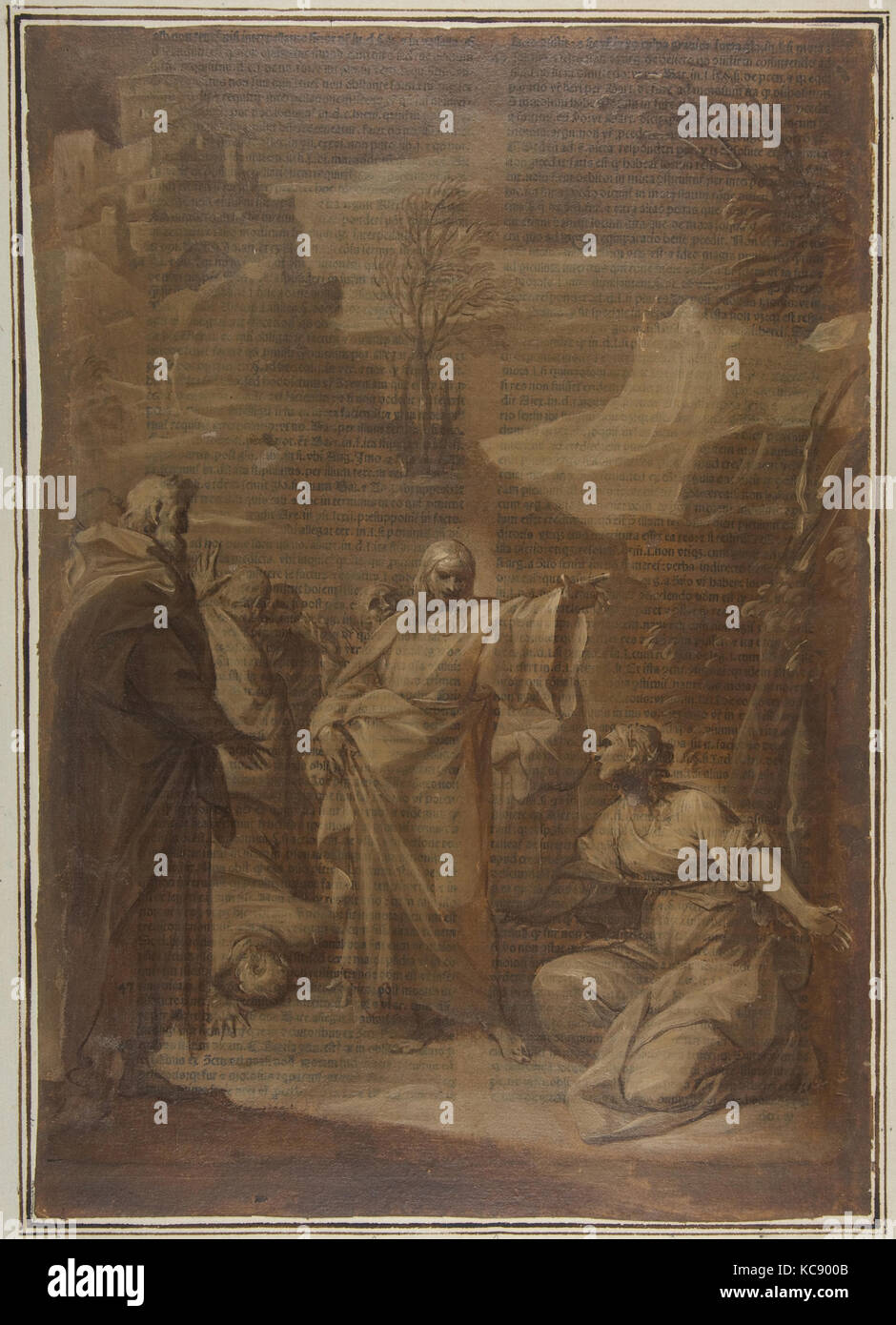 5pcs 19.5cm Tent Pegs durable Plastic Outdoor Camping Trip