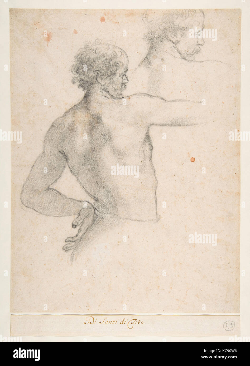 Two Studies of a Man, ca. 1575, Black chalk (recto); rulings in red chalk and black chalk by early collector (verso), sheet: 13 Stock Photo