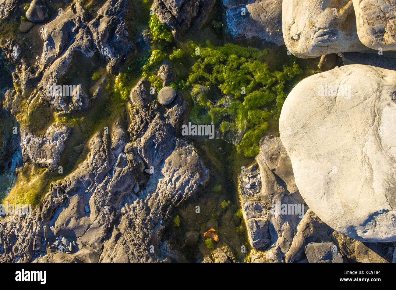 boulders and colorful pebbles on the beach on a warm summer day Stock
