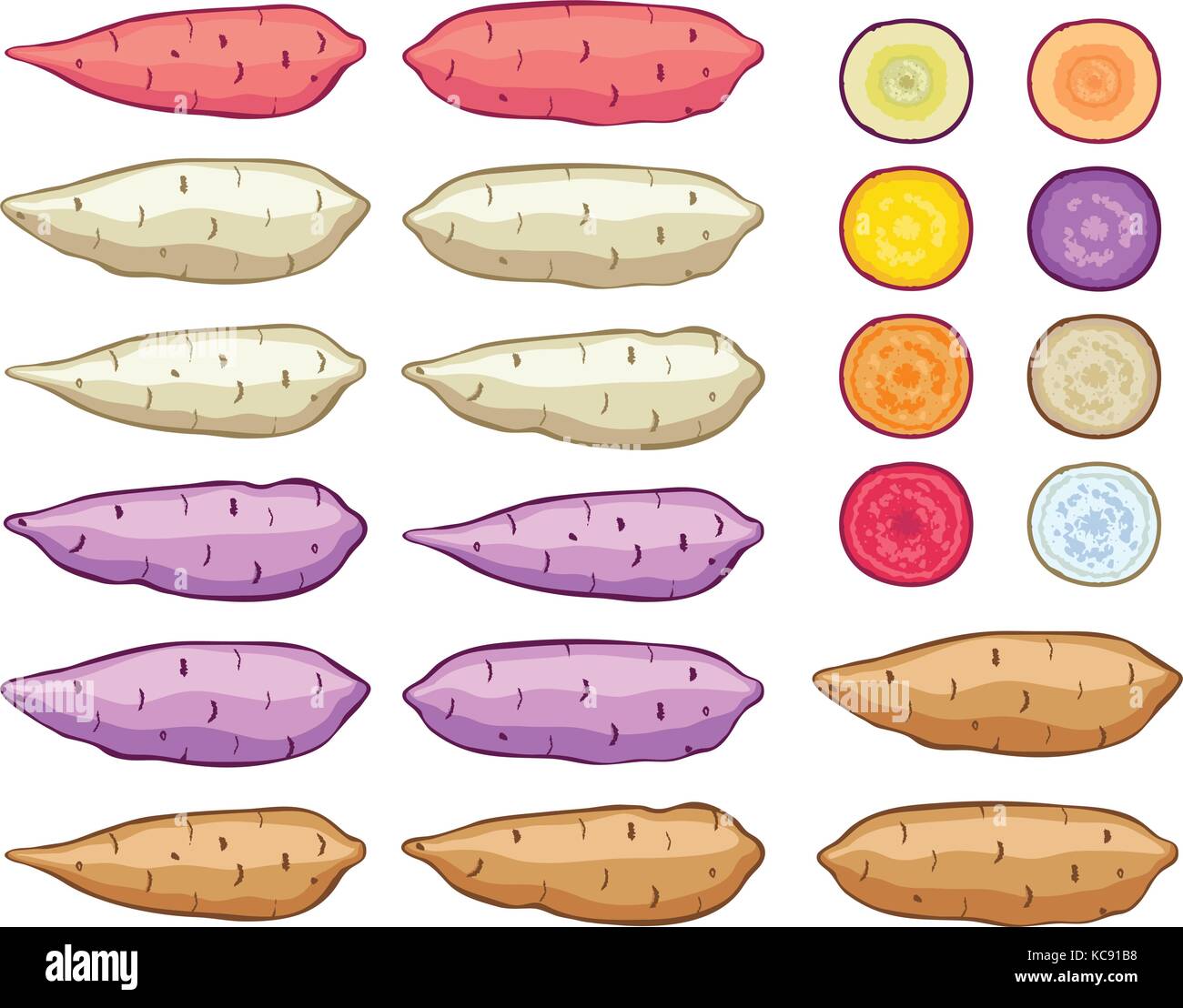 Free Free Sweet Potato Svg 320 SVG PNG EPS DXF File