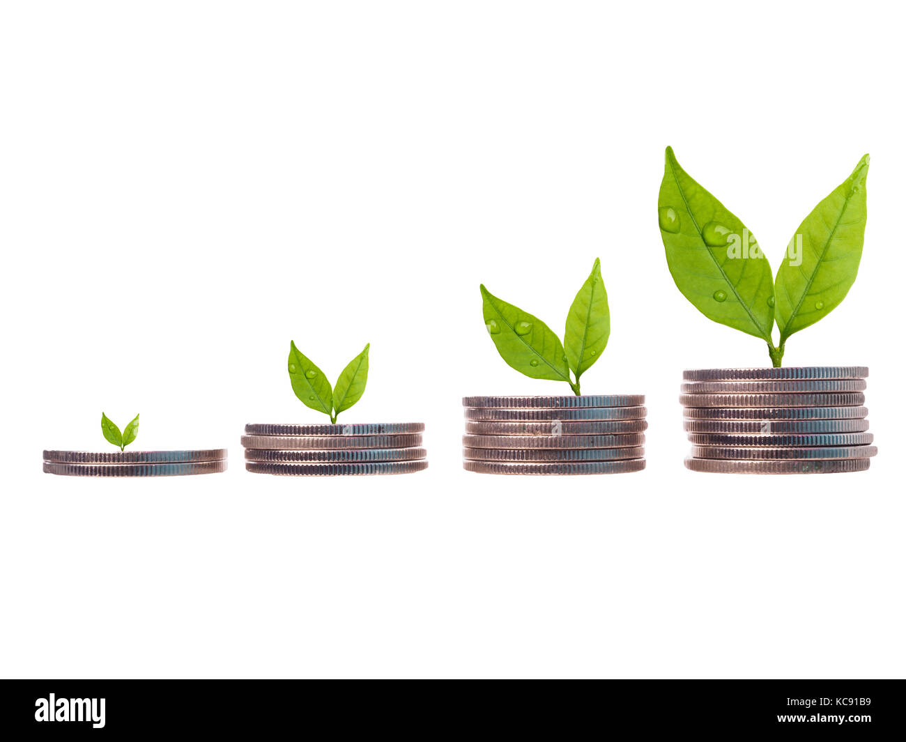 business investment concept,stacks of coins with seed isolated on white background Stock Photo