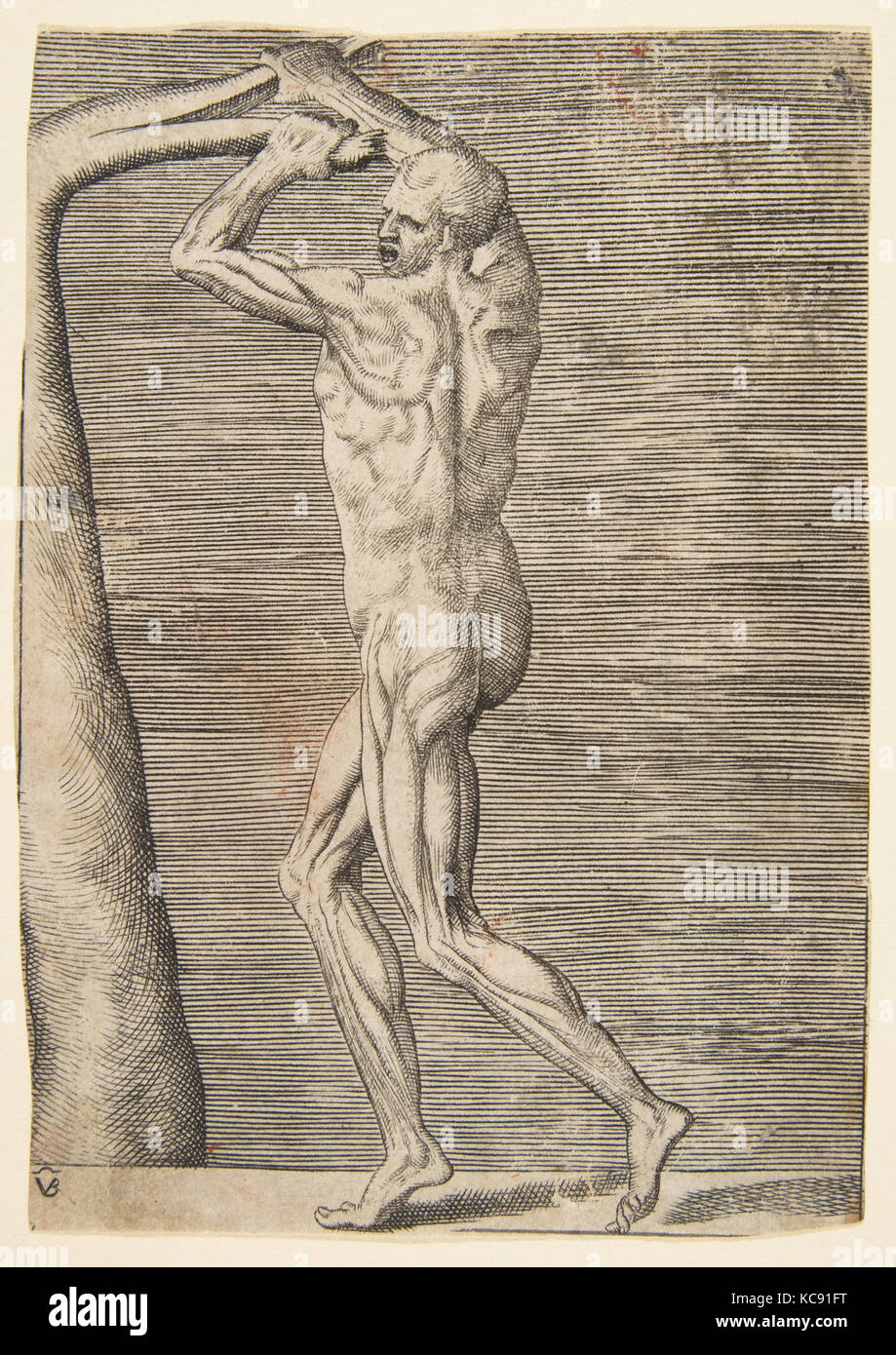 Flayed Man Art