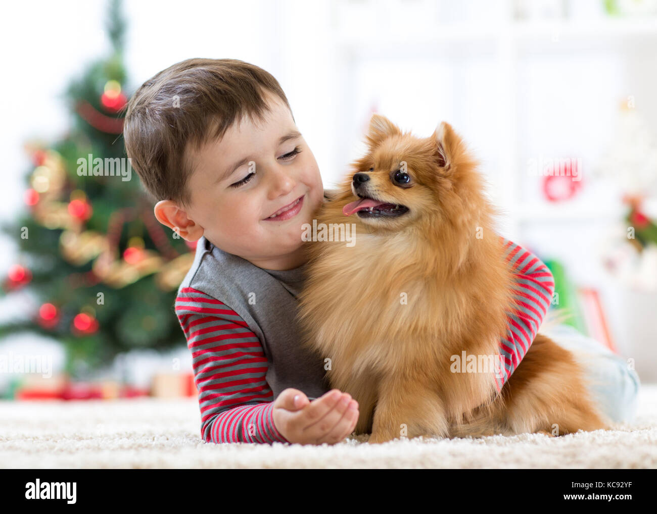 Happy little boy and dog as their gift at Christmas. Christmas interior Stock Photo