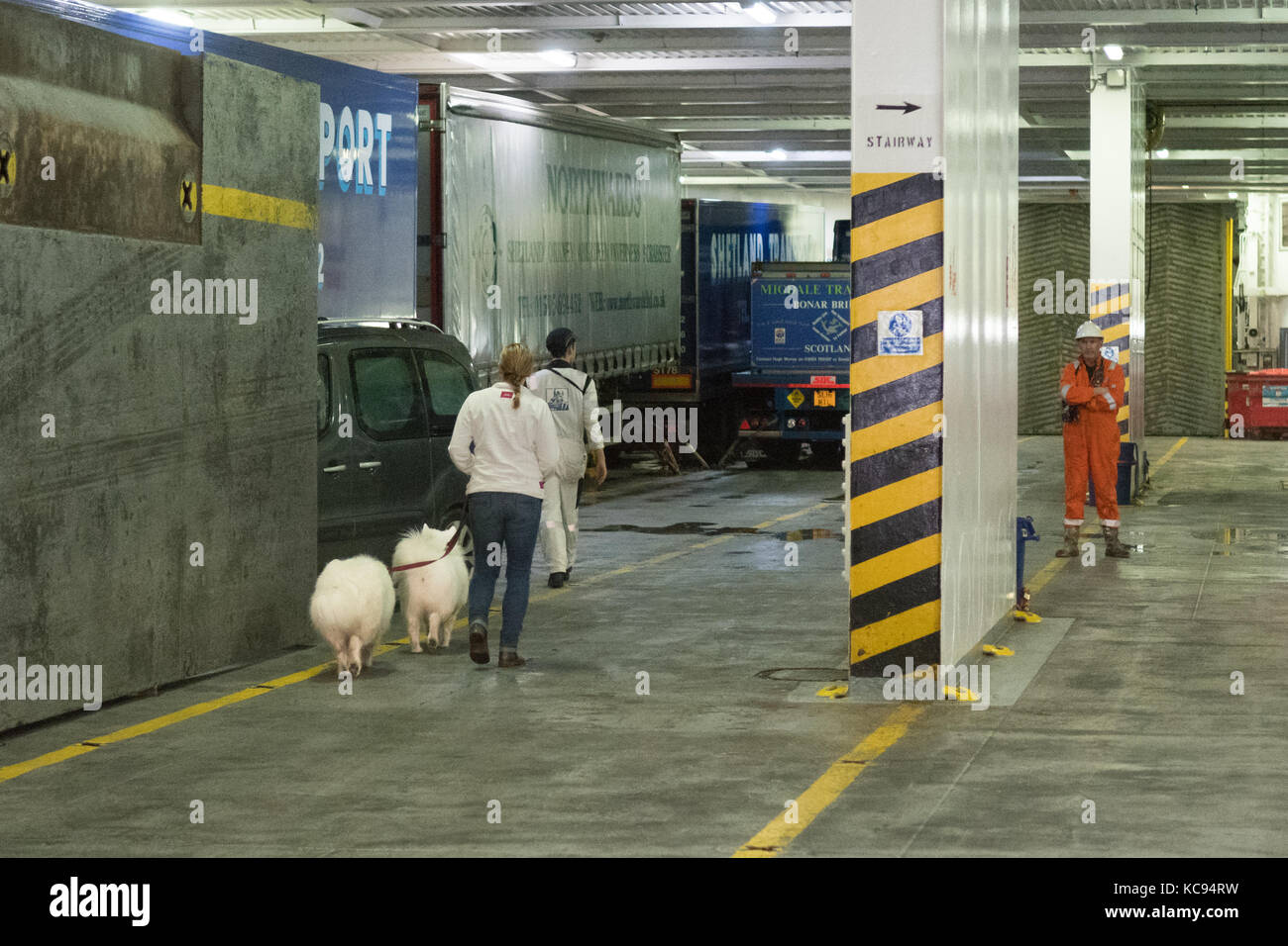 Taking dogs to ferry kennels hires stock photography and images Alamy