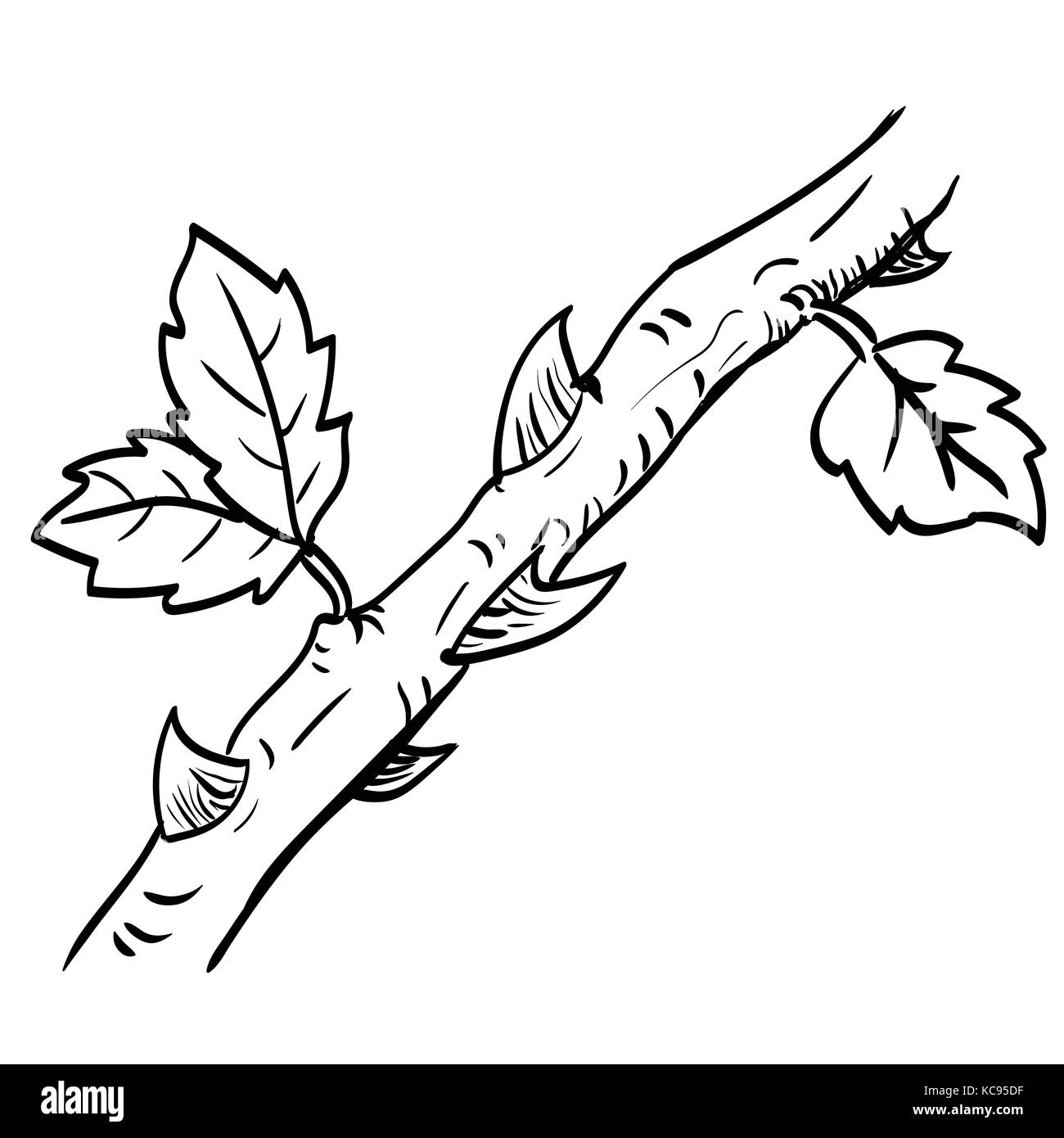 Hand drawing of Thorn. Black and White simple line Vector Illustration for Coloring Book - Line Drawn Vector Stock Vector