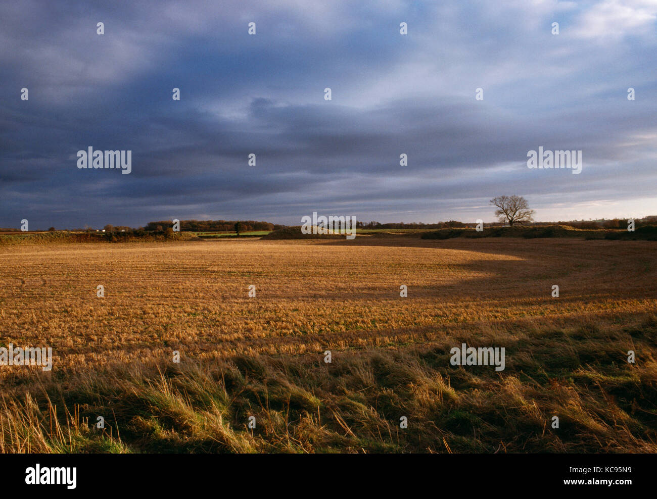 Thornborough north yorkshire england hires stock photography and