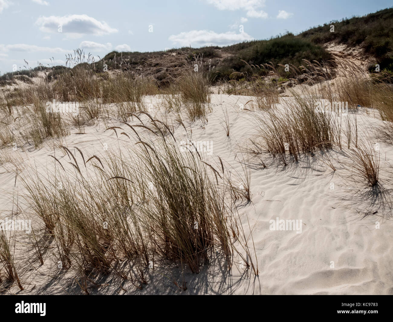 Mediterranean white sand dunes Stock Photo Alamy