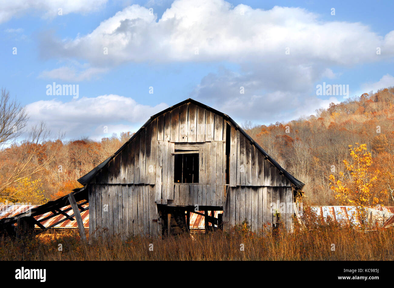 Shadows seem to be an adjective in this piece of abandoned agriculture