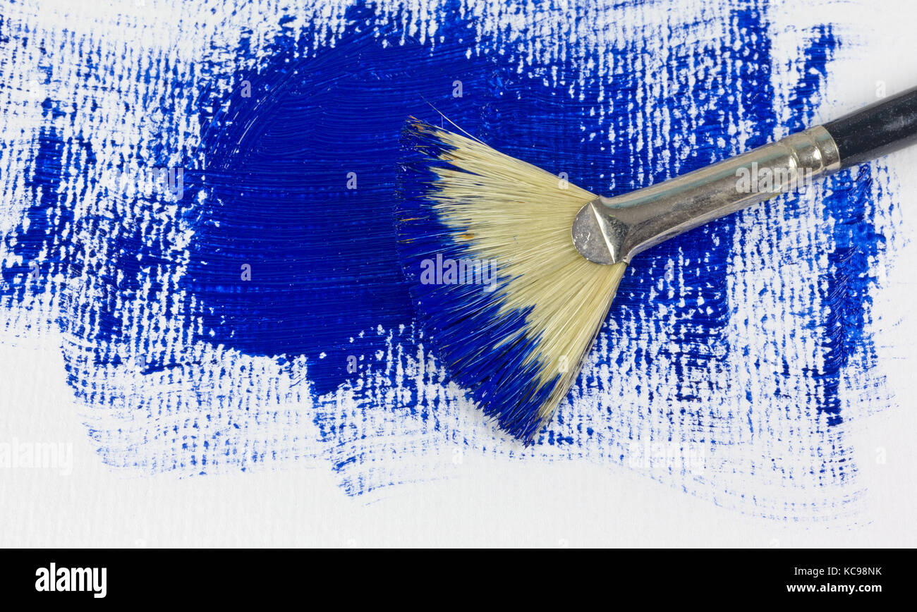 A fan paintbrush with blue acrylic paint messily painted on a white heavyweight artist paper. Stock Photo