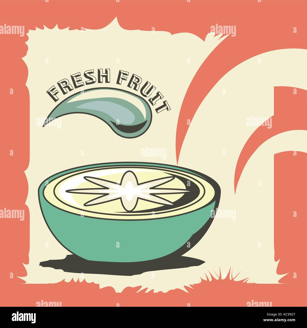 Orange fruit design Stock Vector Image & Art - Alamy